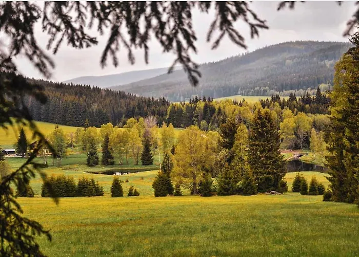 Polka * Horní Vltavice