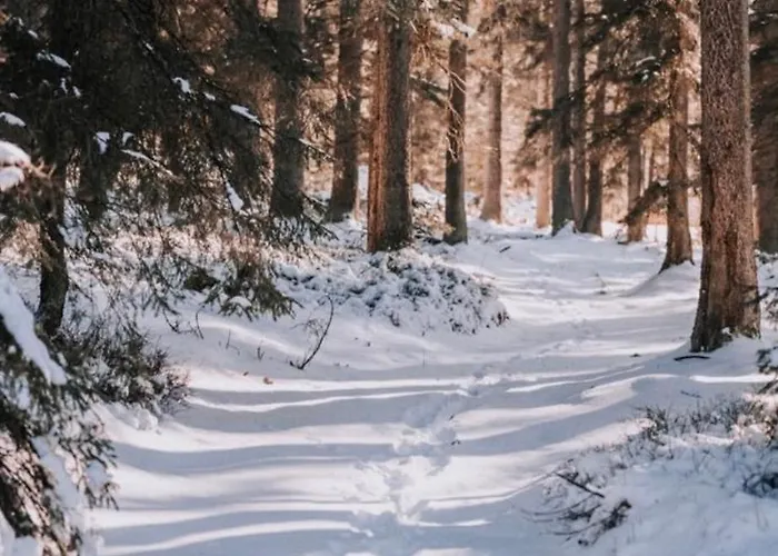Polka Hébergement de vacances *