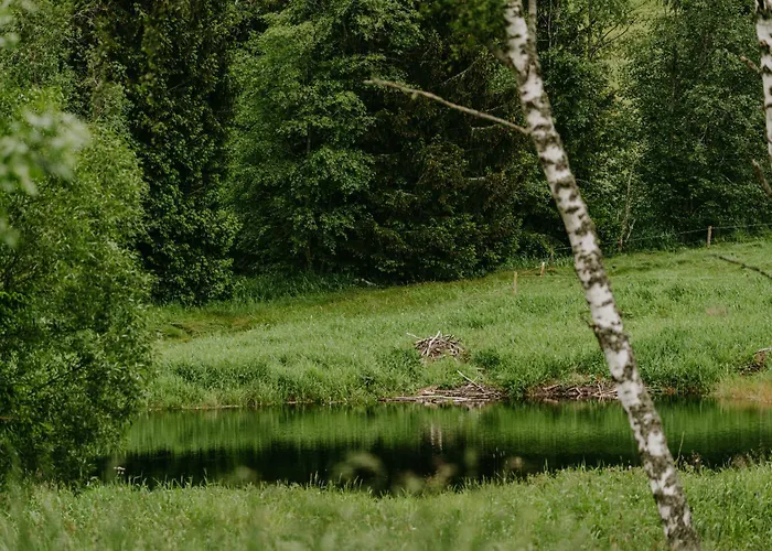 Polka Hébergement de vacances Horní Vltavice